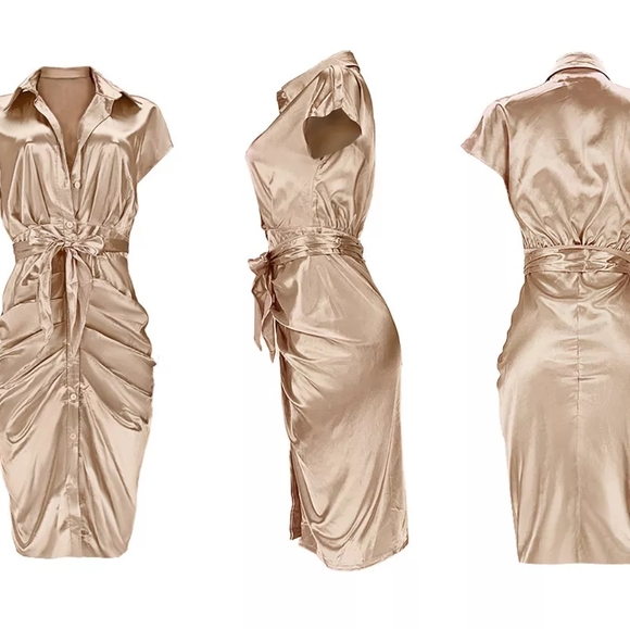 💋ADOGIRL BUTTON UP SHIRT DRESS!!! - Picture 11 of 13